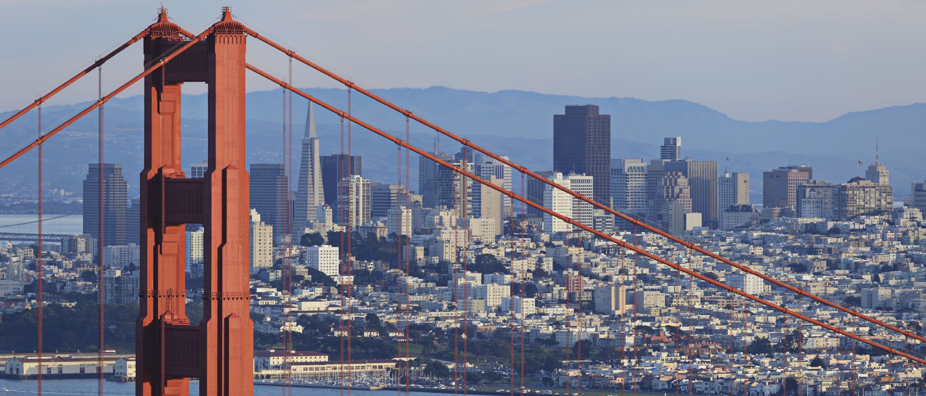 San Francisco La Melting Pot Del Pacifico Headshotnews San Francisco La Melting Pot Del Pacifico Headshotnews